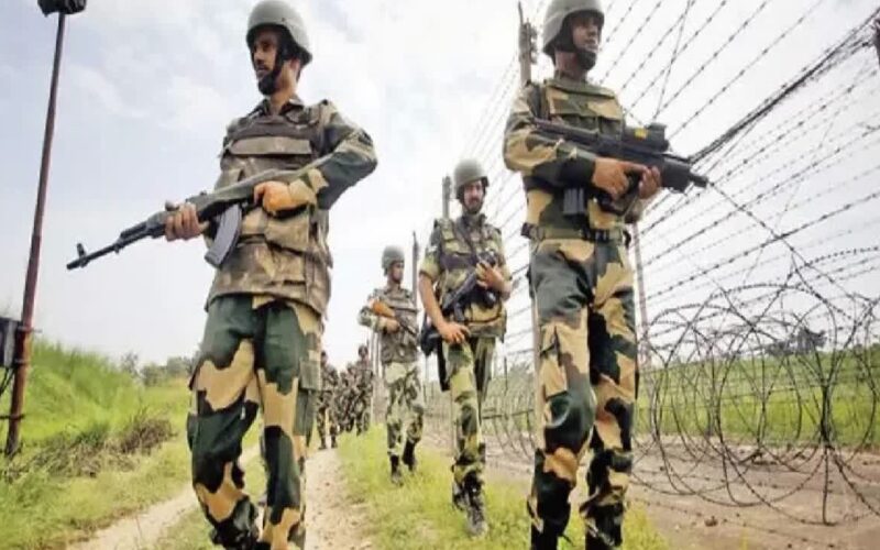 ভারতে বিএসএফের পোশাক পরে বাংলাদেশে গরু চোরাচালানের চেষ্টা